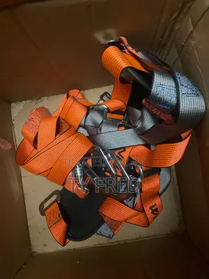 Body Harness