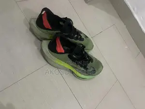 Nike Airzoom X Alphafly