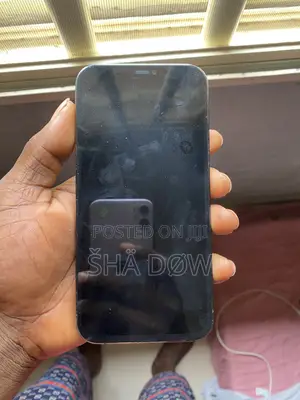 Apple iPhone 12 Pro Max 128 GB Black