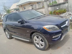 Mercedes-Benz M Class 2012 Blue
