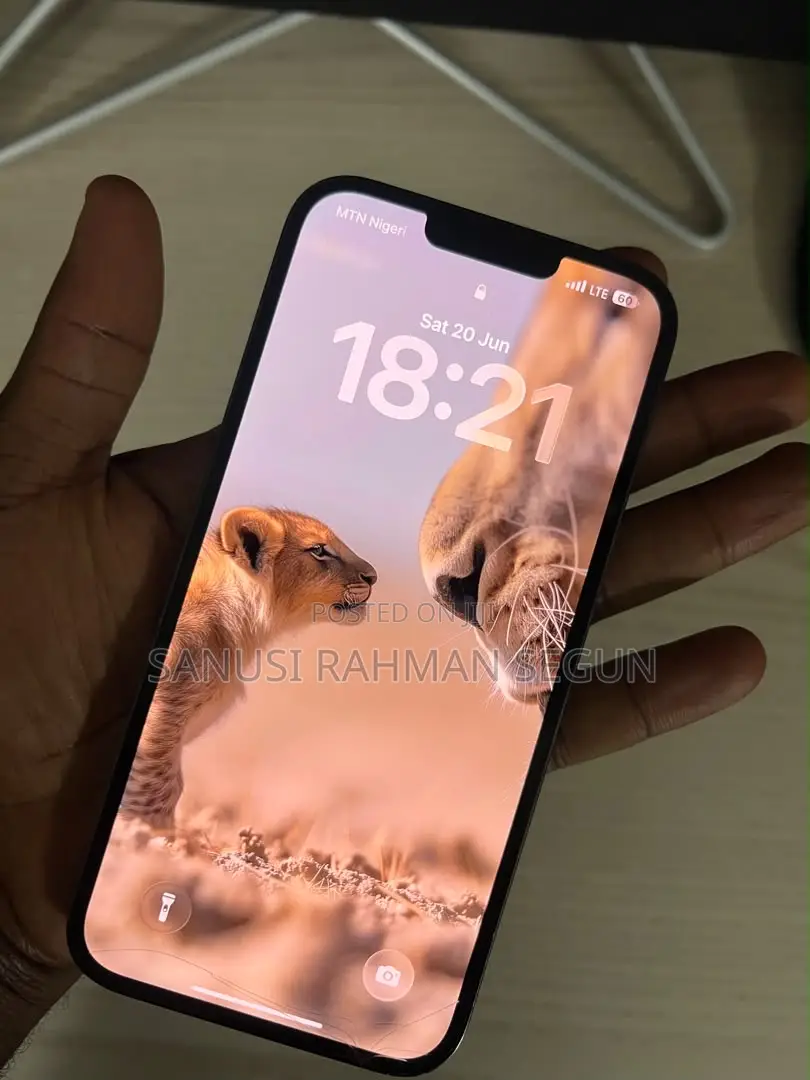 Apple iPhone 13 Pro Max 512 GB Gray