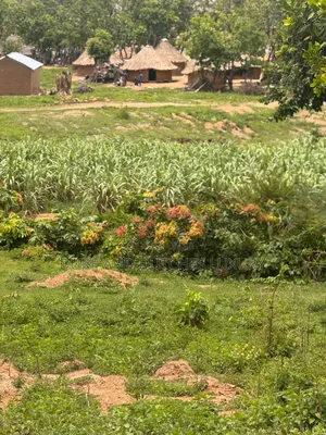 Land and Plots