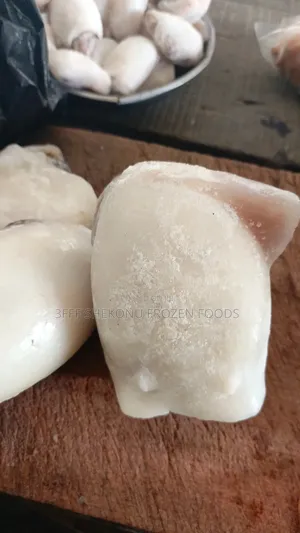 Seafood Calamari