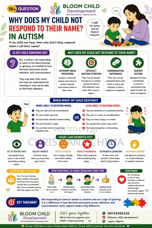 Special Needs Education
