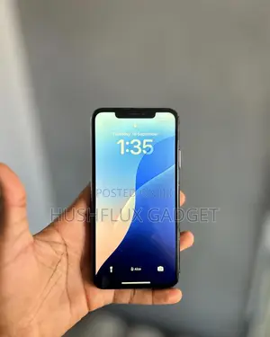 Apple iPhone 11 Pro Max 256 GB Black