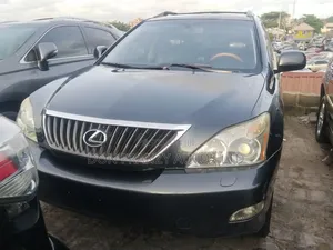 Lexus RX 2009 Gray
