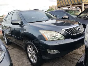 Lexus RX 2009 Gray