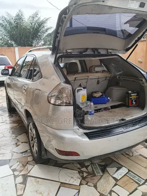 Lexus RX 2008 Gray