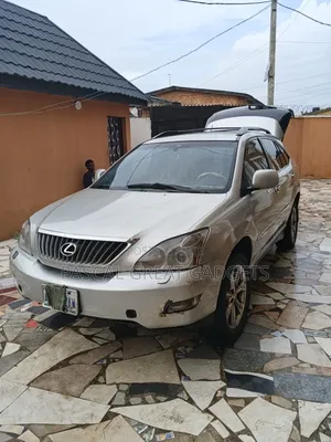 Lexus RX 2008 Gray
