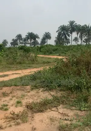 Buy Build Land for Sale – Off Eneka Link Road, Port Harcourt