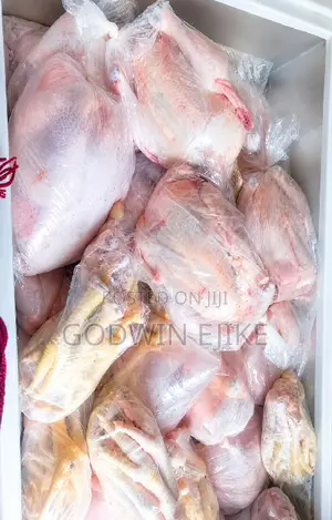 8-weeks Old Broilers (Chicken)