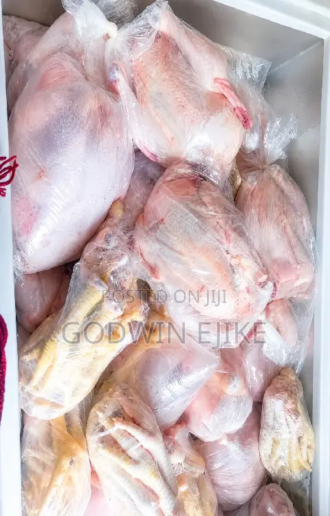 8-weeks Old Broilers (Chicken)
