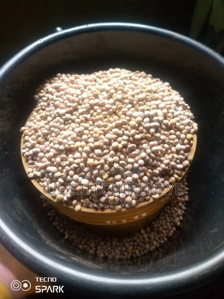 Food Stuff