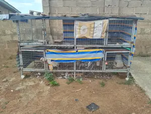Cage for Chicken, Turkey, Rabbits, Etc