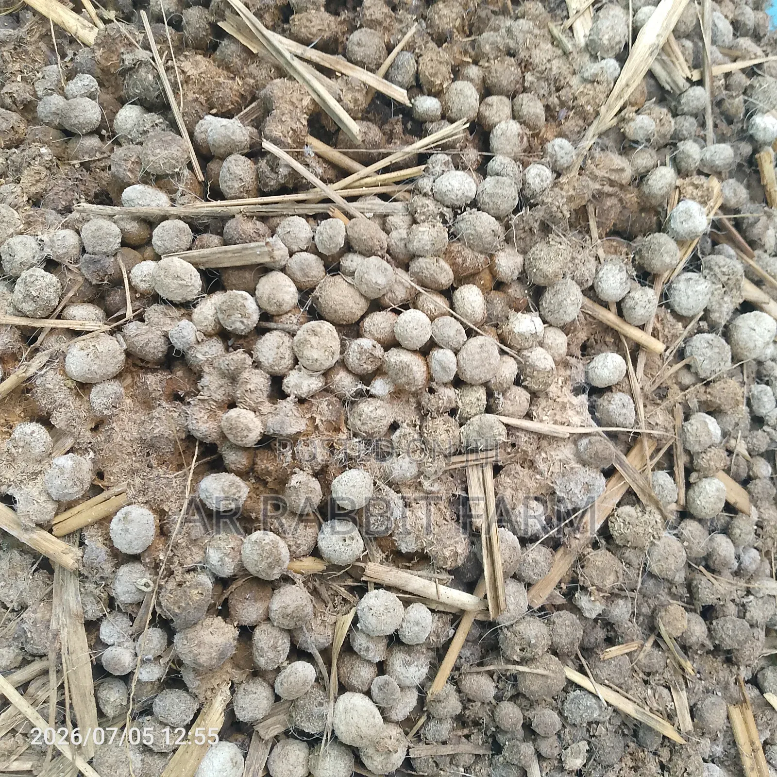 Cold Rabbit Manure Gardeners Per 50kg
