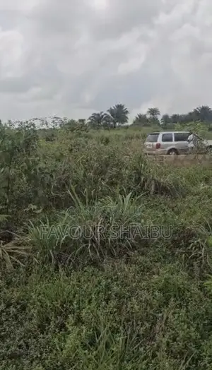 Prime 100x200 Fenced Plot For Sale - Airport Road Benin