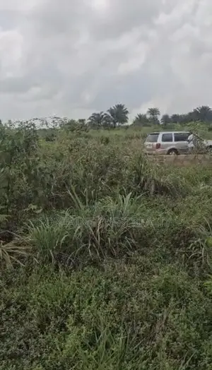4 Plots Land for Sale in Umegbe Benin City — 100×200ft