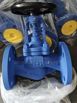 Steam Globe Valve