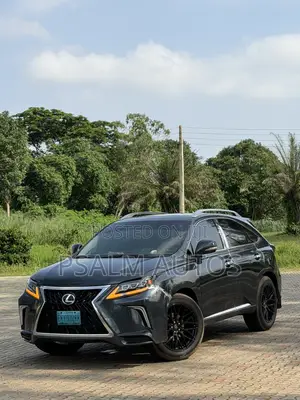 Lexus RX 2011 Gray