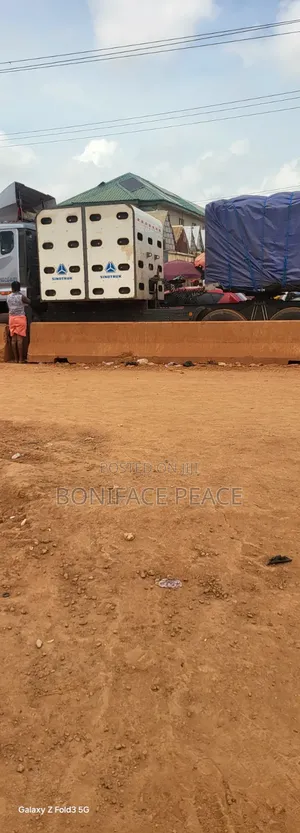 Dangote Distributor Cement and Bua