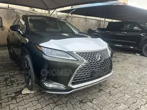 Lexus RX 2022 Gray