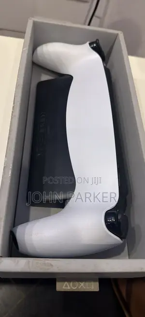 Playstation 5 Portal