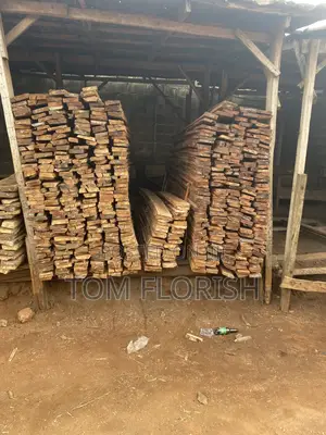 Akun,Ofu,Abora