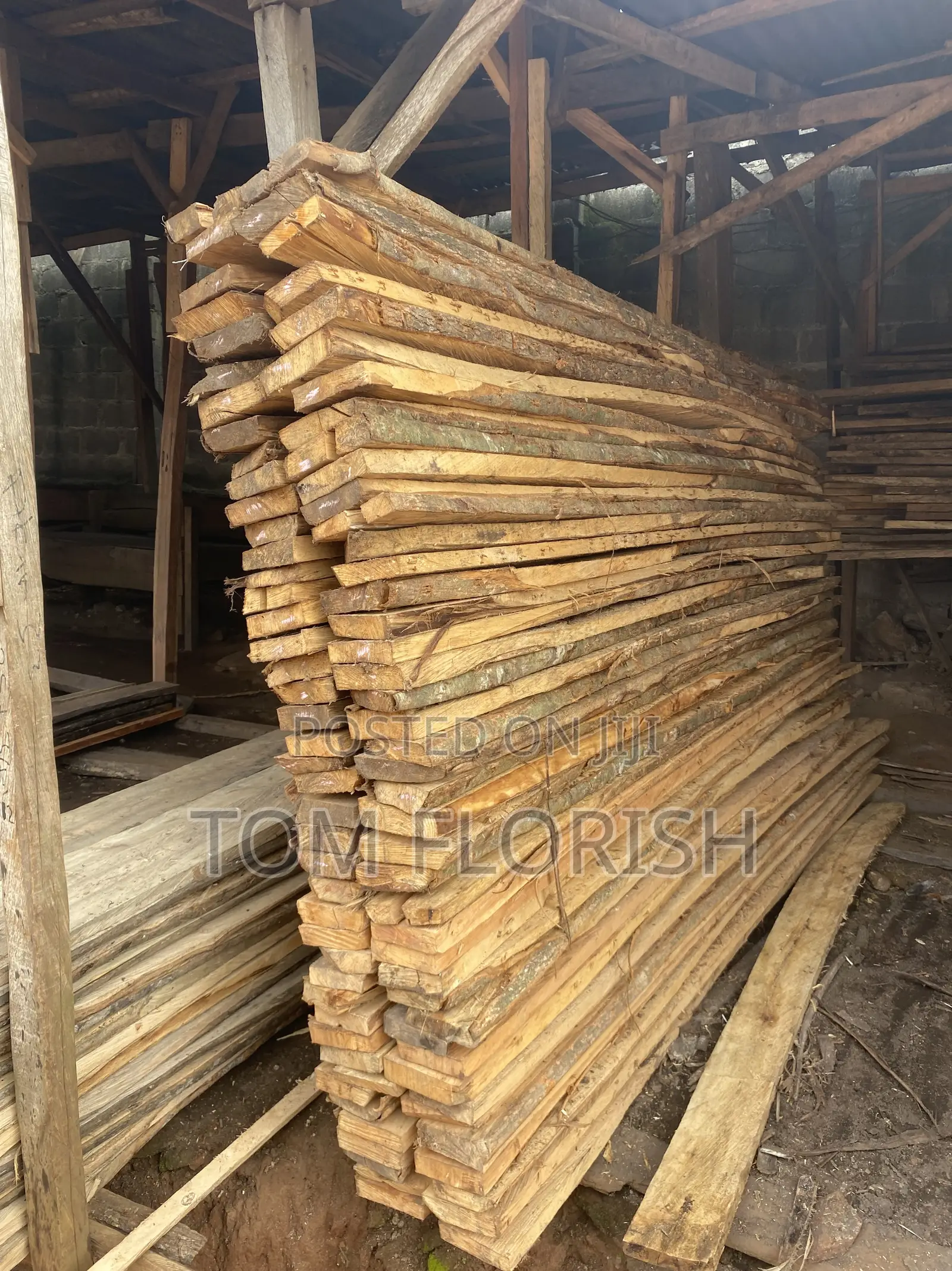 Akun,Ofu,Abora