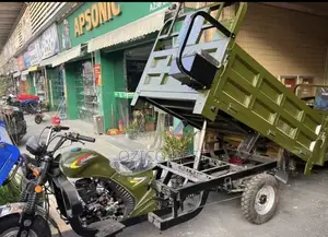Apsonic Cargo Tricycle