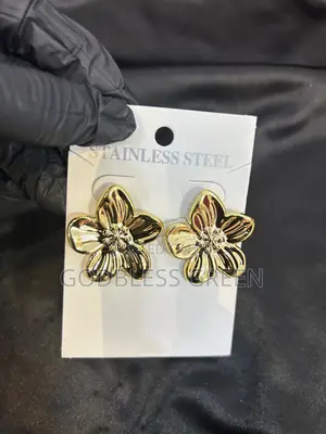Chunky Earrings