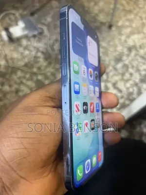 Apple iPhone 13 Pro Max 256 GB Black