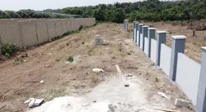 New Rome Extension (A Land That Earns While It Appreciates)