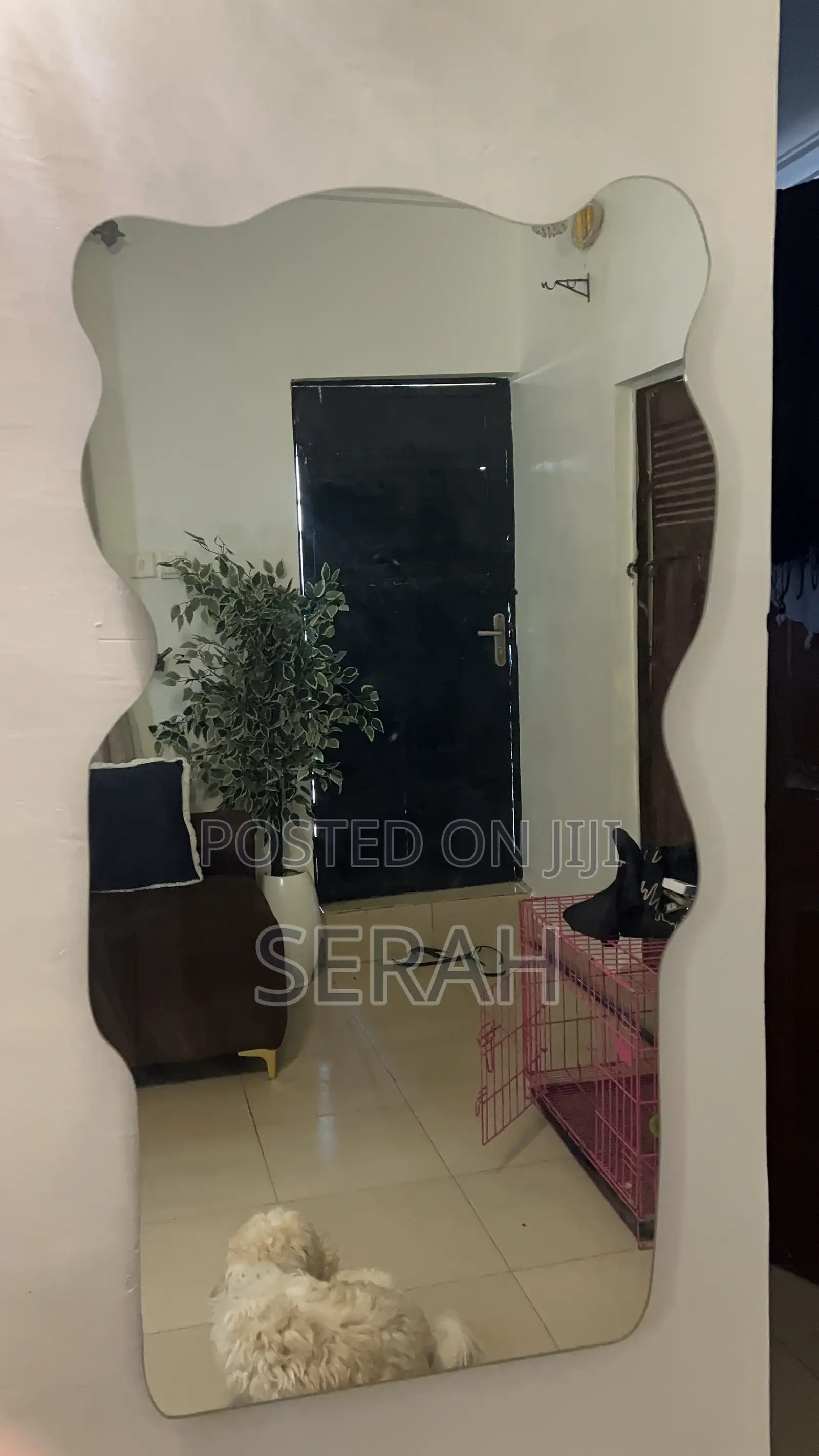 Teddy Bear Mirror