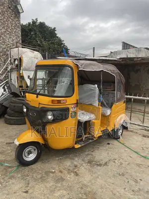 New Tricycle 2025