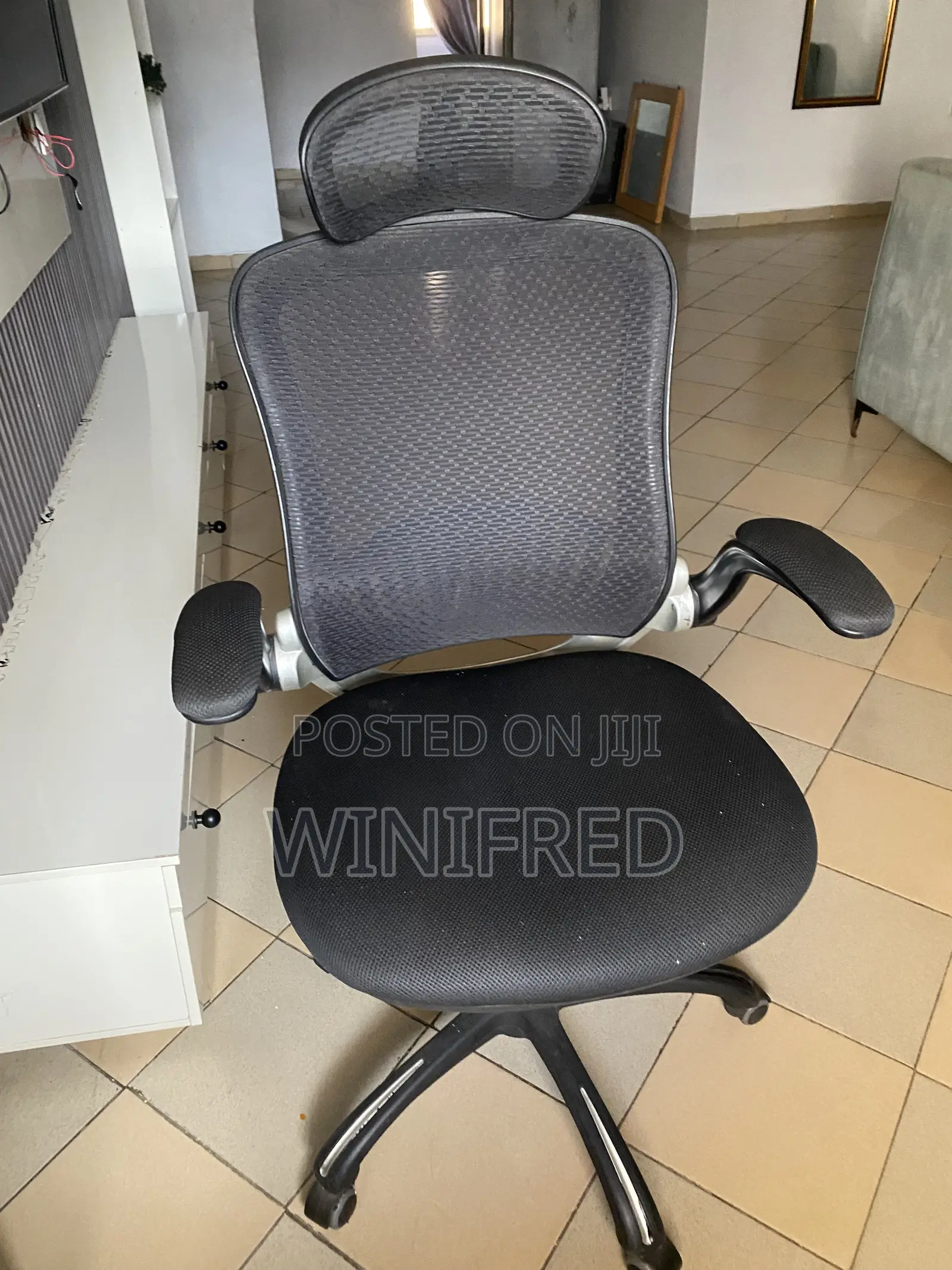 Ergonomic Chair
