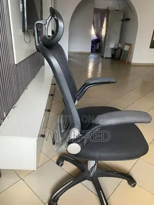 Ergonomic Chair