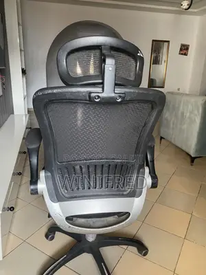 Ergonomic Chair