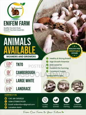 Weaners and Growers