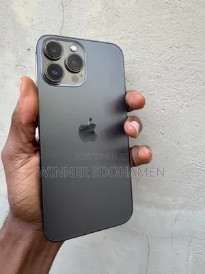 Apple iPhone 13 Pro Max 256 GB Gray