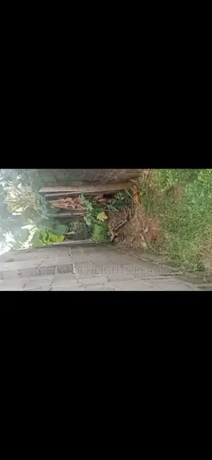 Real Estate