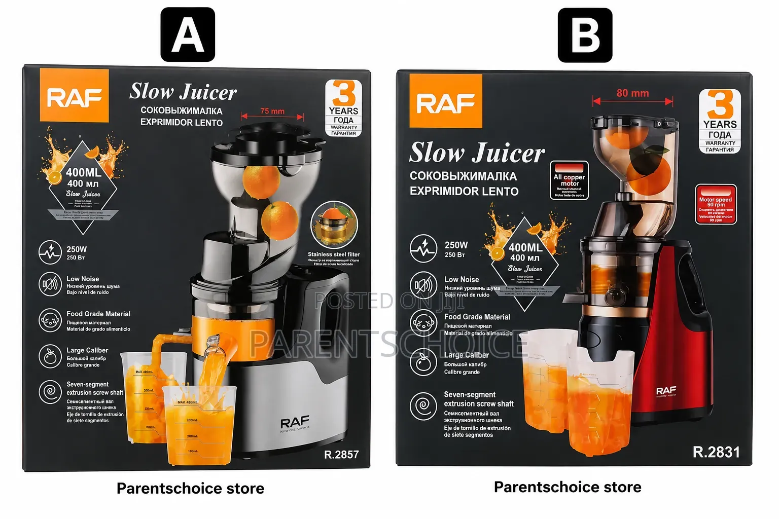 Raf Slow Juicer