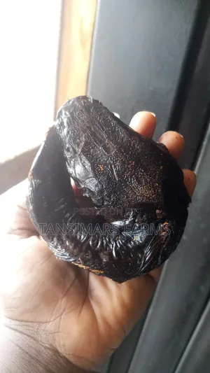 Elimac's Smoked Catfish