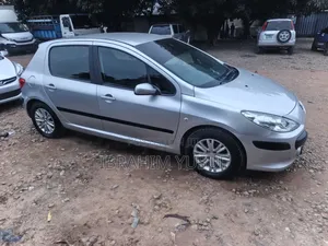Peugeot 307 2004 Silver