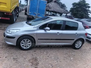 Peugeot 307 2004 Silver
