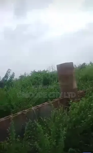 Real Estate