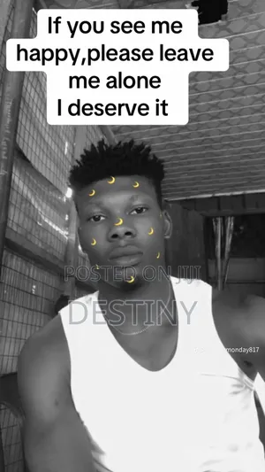 Mr Destiny