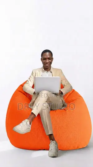 Professional Graphic Designer
