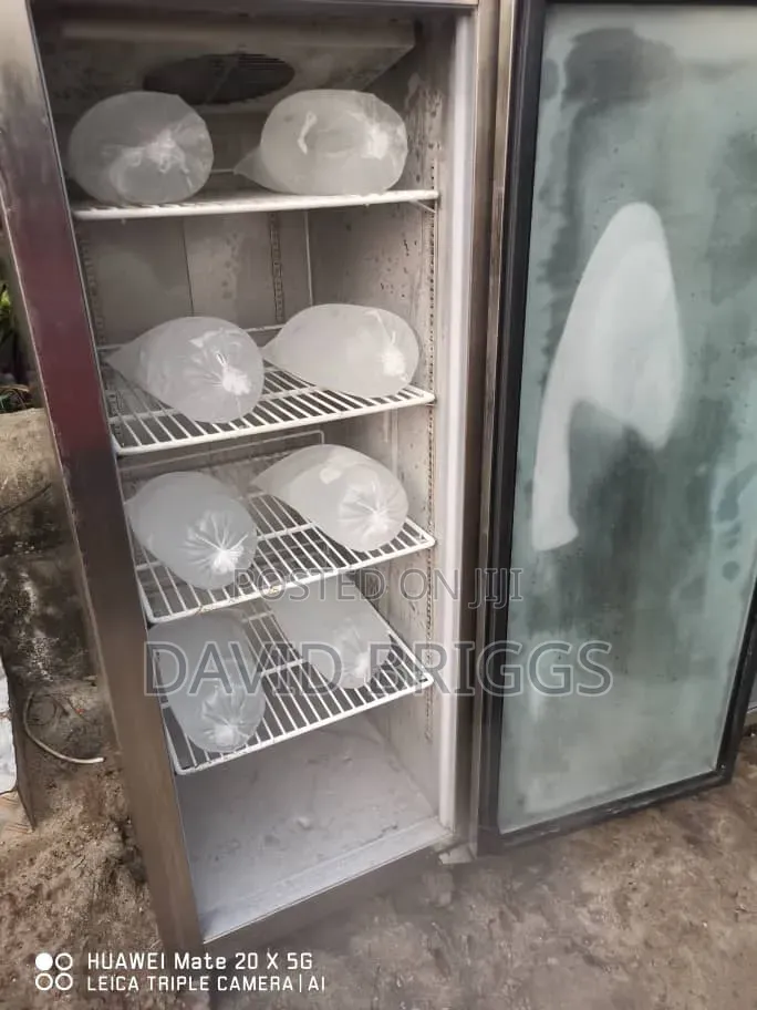 Standing Freezer