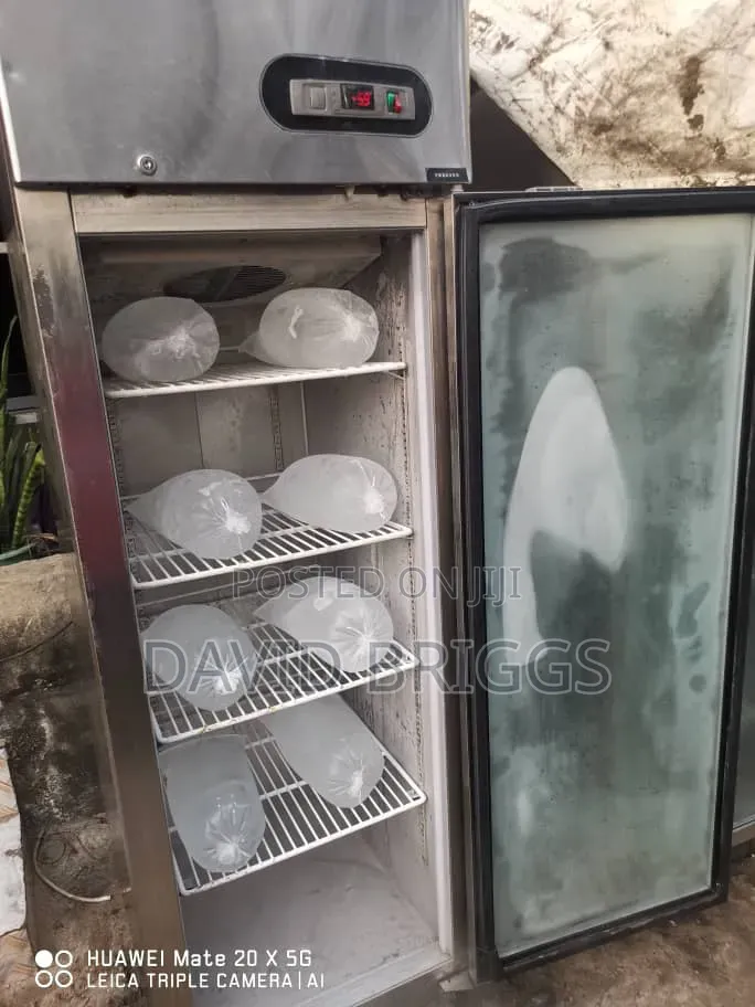 Standing Freezer
