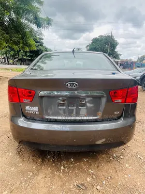 Kia Forte 2013 Gray